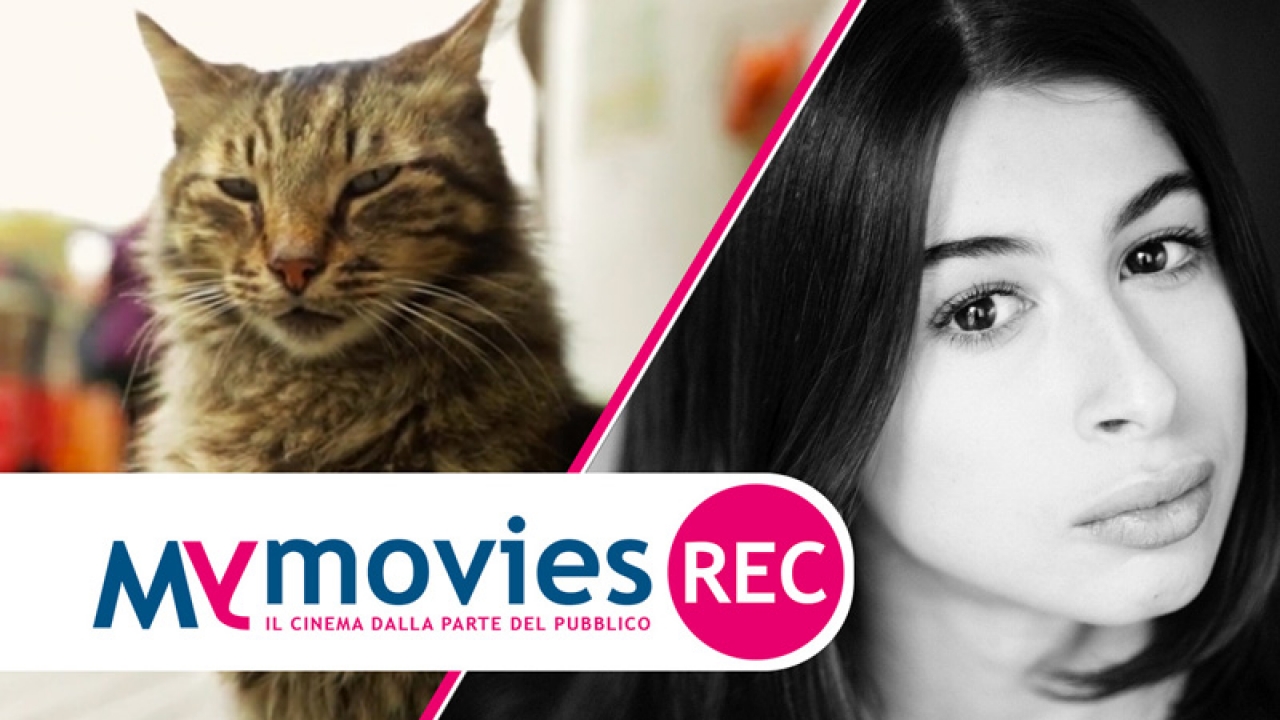 Kedi - La citta dei gatti