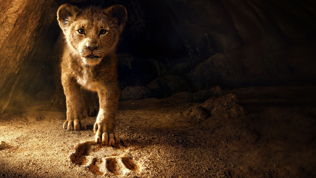 Il re leone (2019): tutte le differenze con il film d'animazione