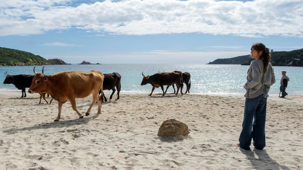 La vita va così ha già superato i 4 milioni di euro