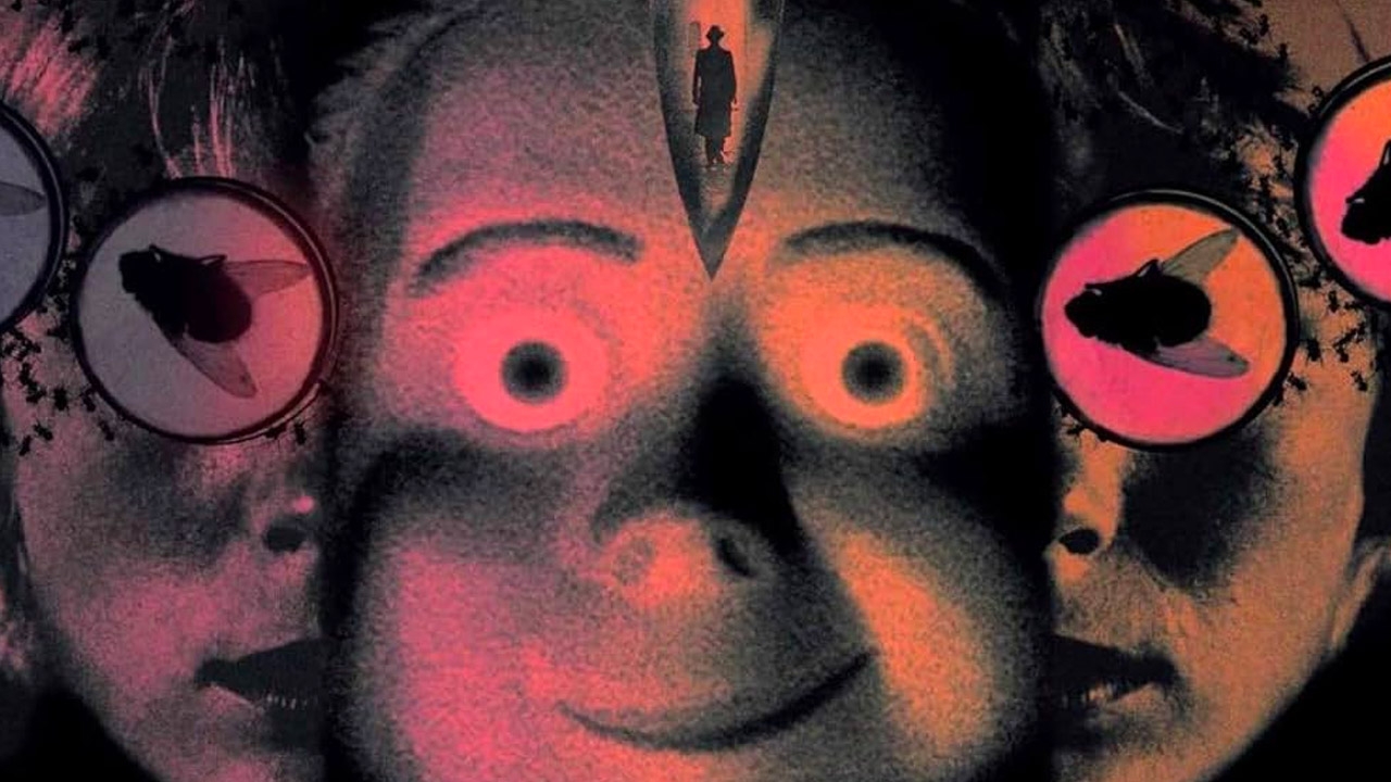 Torna al cinema 4 mosche di velluto grigio, l'avvincente thriller di Dario Argento. Con tocchi di commedia e forti suggestioni oniriche