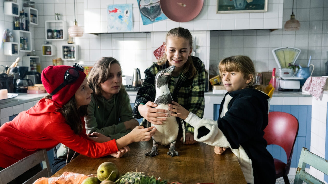 Paul - Un pinguino da salvare, da giovedì 10 luglio al cinema