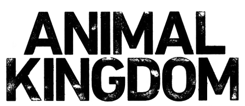 Animal Kingdom - Stagione 1